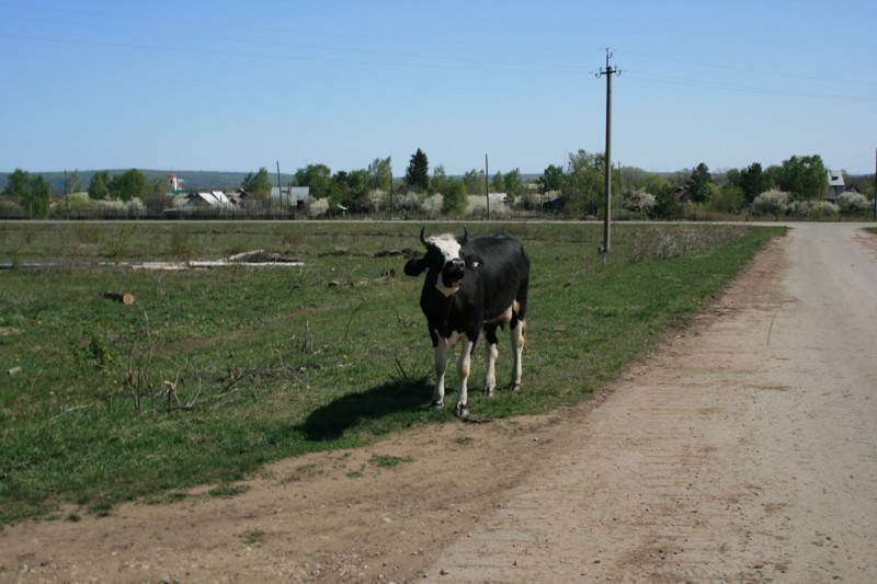 velo_samara_69.JPG