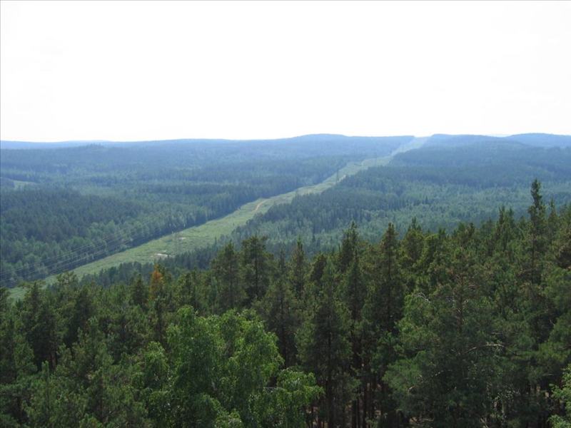nature_041.JPG