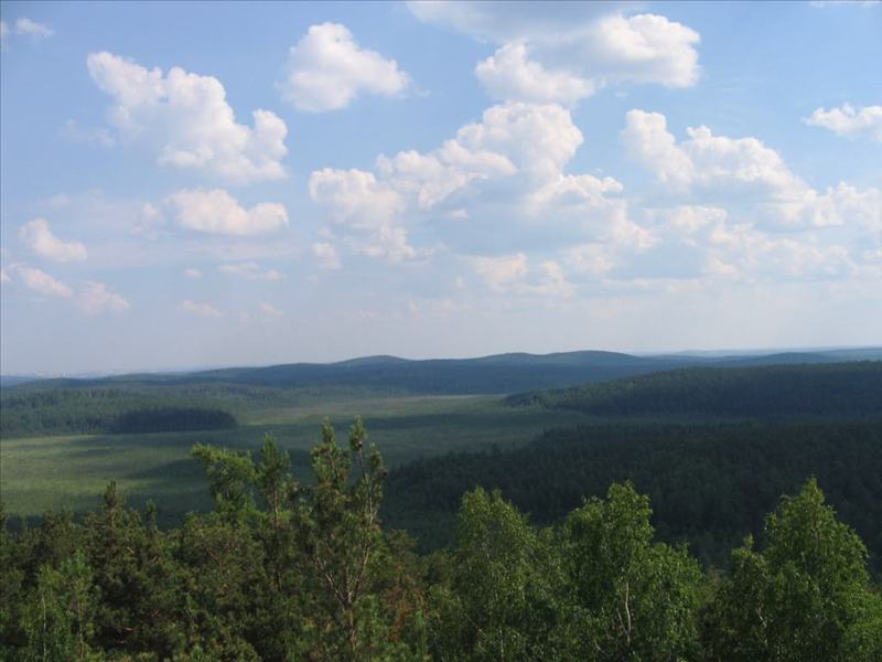 nature_042.JPG