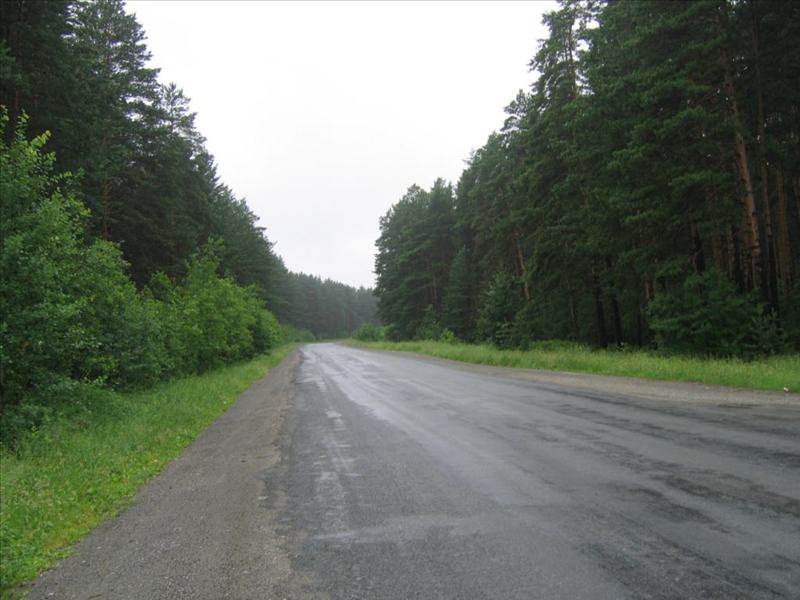 nature_045.JPG