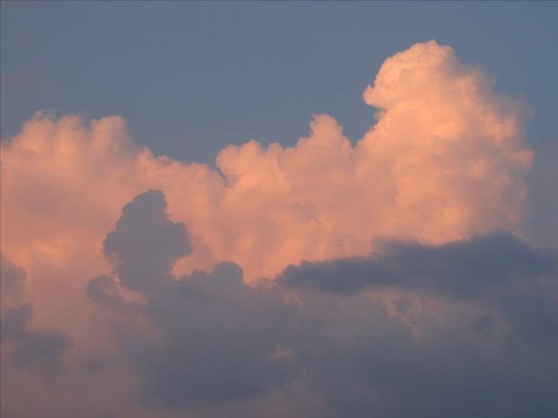 nature_055.JPG