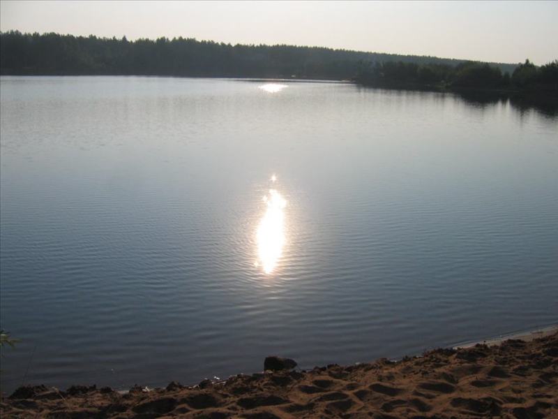 nature_056.JPG