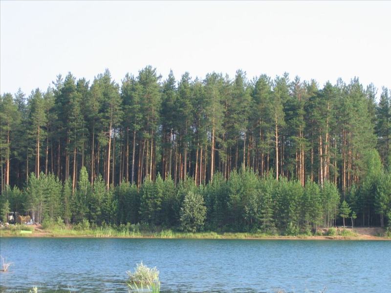 nature_057.JPG