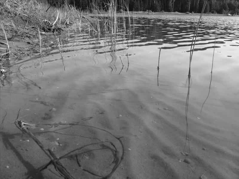 nature_059.JPG